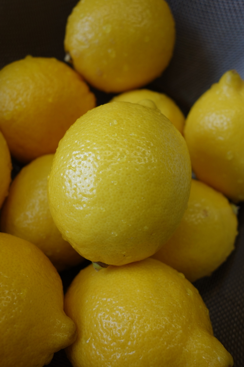 f:id:muramoto-wagashi:20210225155051j:plain