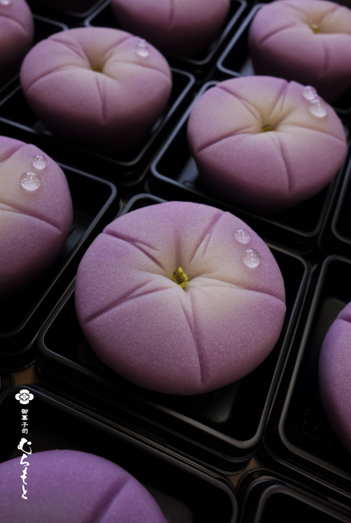 上生菓子から あさがお 御菓子司 むらもと