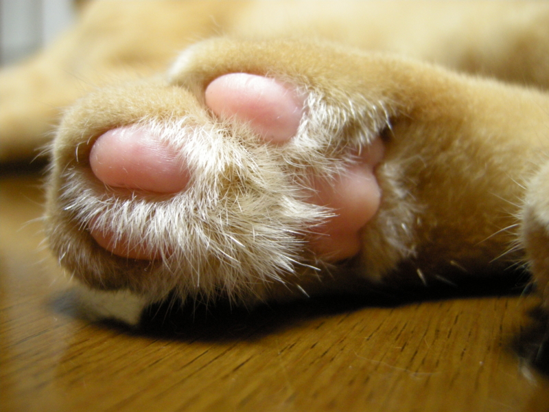 f:id:murana:20110826170112j:image f:id:murana:20110826170112j:image