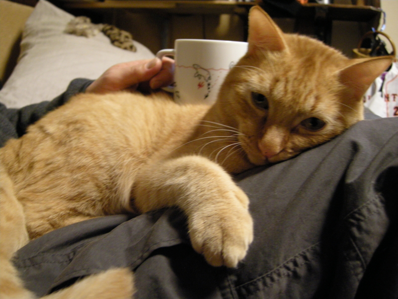 f:id:murana:20111231231611j:image:w550