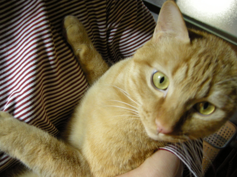 f:id:murana:20120406214337j:image:w400 f:id:murana:20120406214337j:image:w400