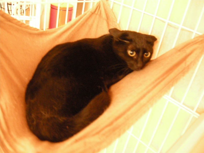f:id:murana:20120613091312j:image:w550 f:id:murana:20120613091312j:image:w550