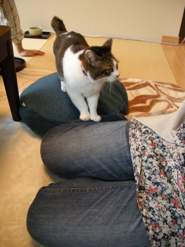 f:id:murana:20120613091319j:image:w450 f:id:murana:20120613091319j:image:w450