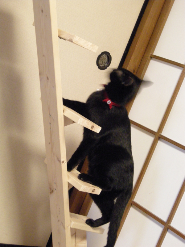 f:id:murana:20120729154227j:image:w450