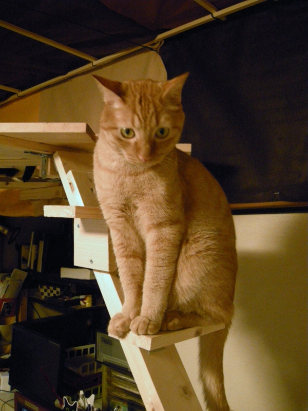 f:id:murana:20120729154228j:image:w420