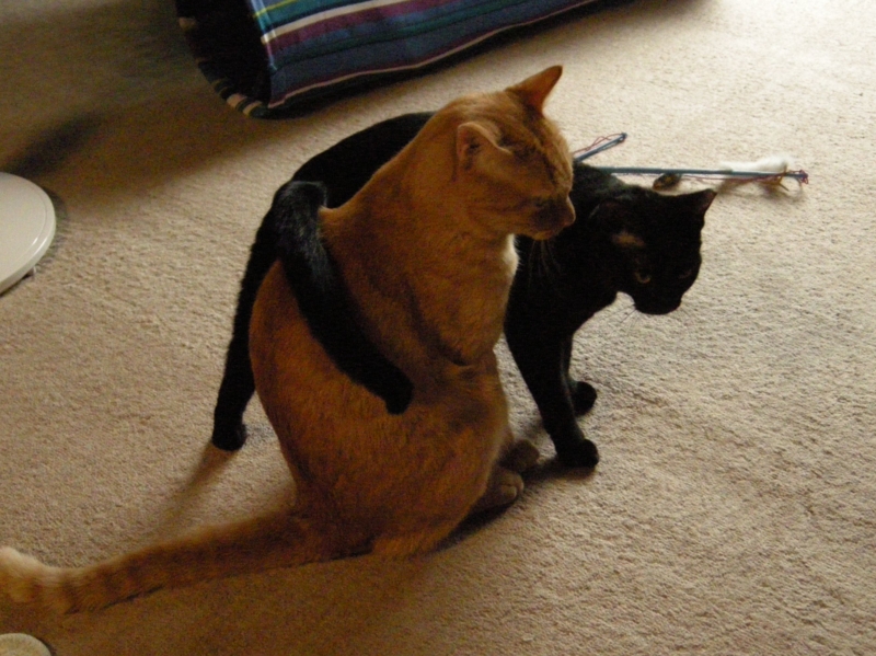 f:id:murana:20120731194525j:image:w200