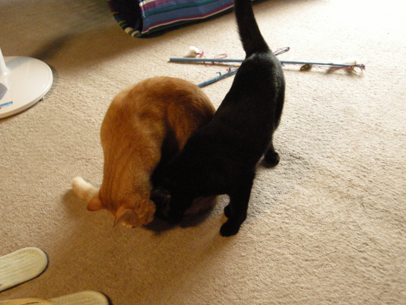 f:id:murana:20120731194529j:image:w200