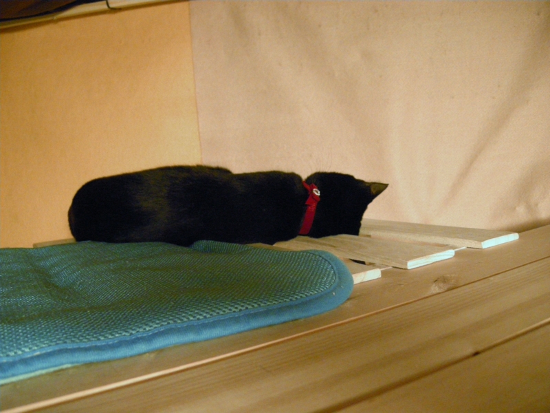 f:id:murana:20120731212456j:image:w450