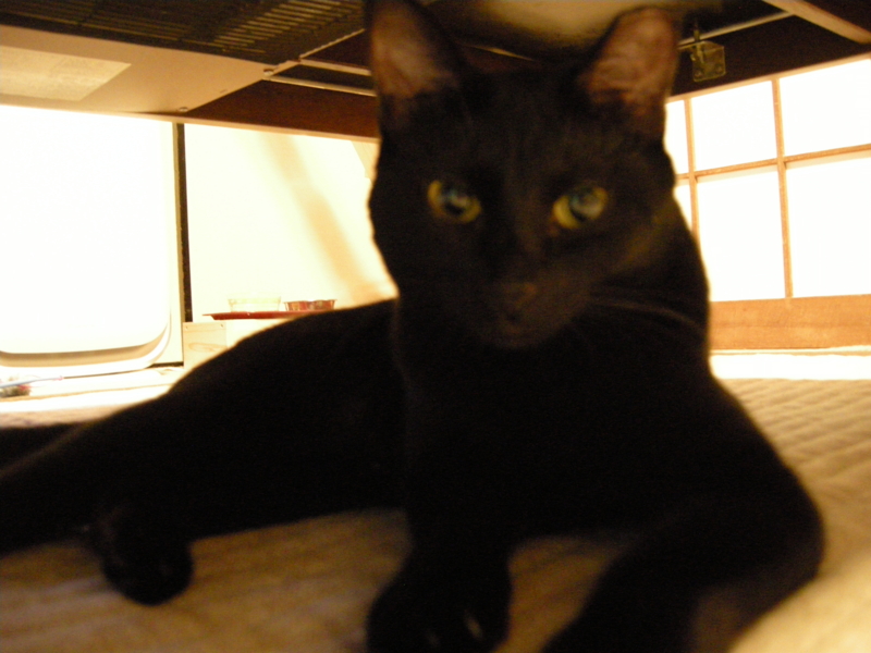 f:id:murana:20120821202358j:image:w450