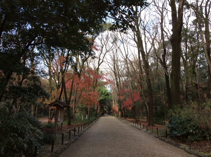 f:id:murana:20151224183249j:image:w550
