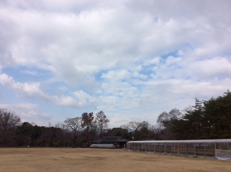 f:id:murana:20151224184947j:image:w550