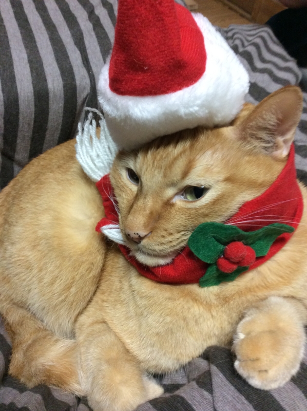 f:id:murana:20151224221330j:image:w450