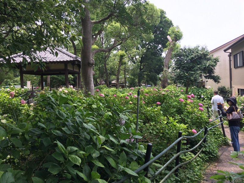 f:id:murana:20190619174801j:image f:id:murana:20190619174801j:image