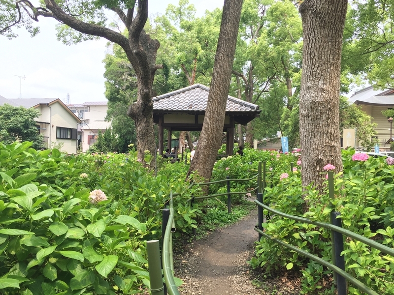 f:id:murana:20190619175425j:image f:id:murana:20190619175425j:image