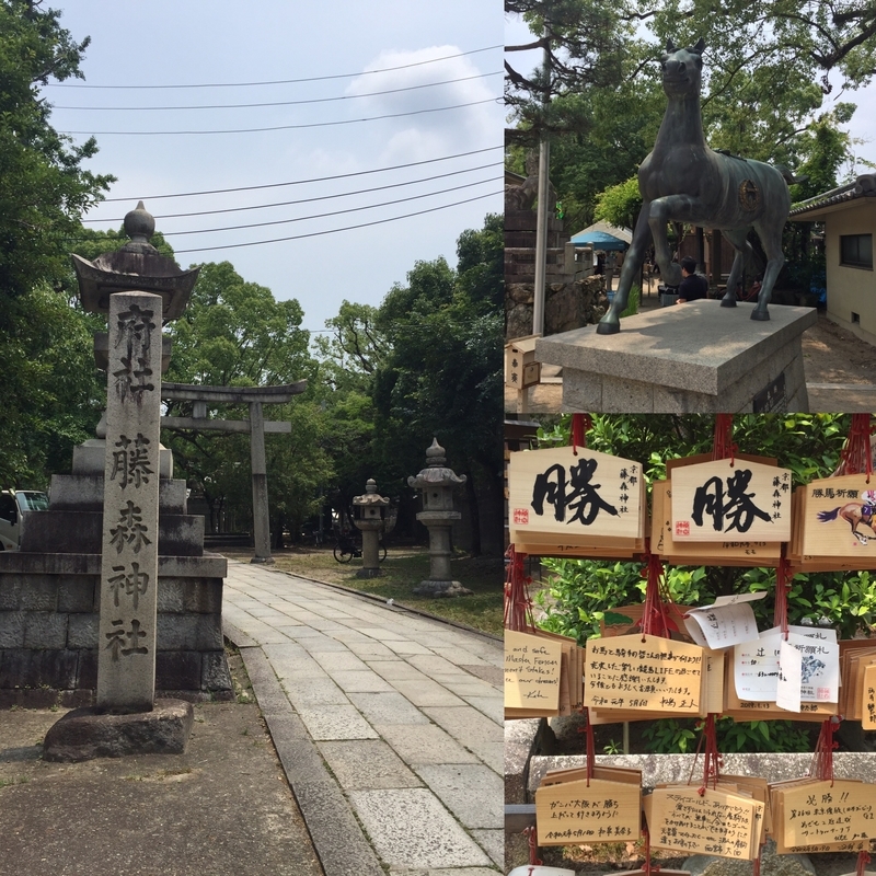 f:id:murana:20190619175441j:image f:id:murana:20190619175441j:image