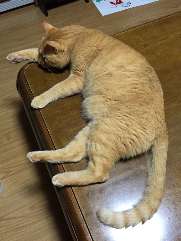 f:id:murana:20190717091006j:image