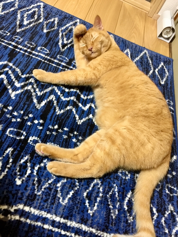 f:id:murana:20191020090006j:image f:id:murana:20191020090006j:image
