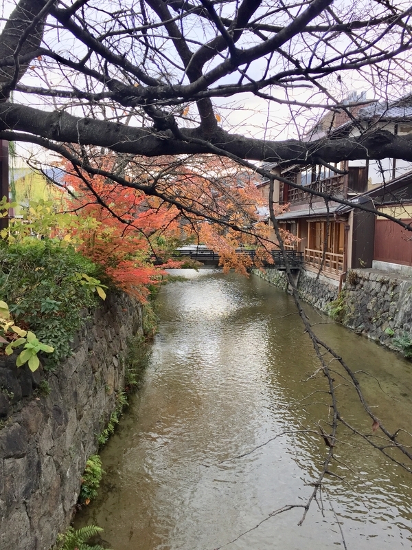 f:id:murana:20191217202337j:image