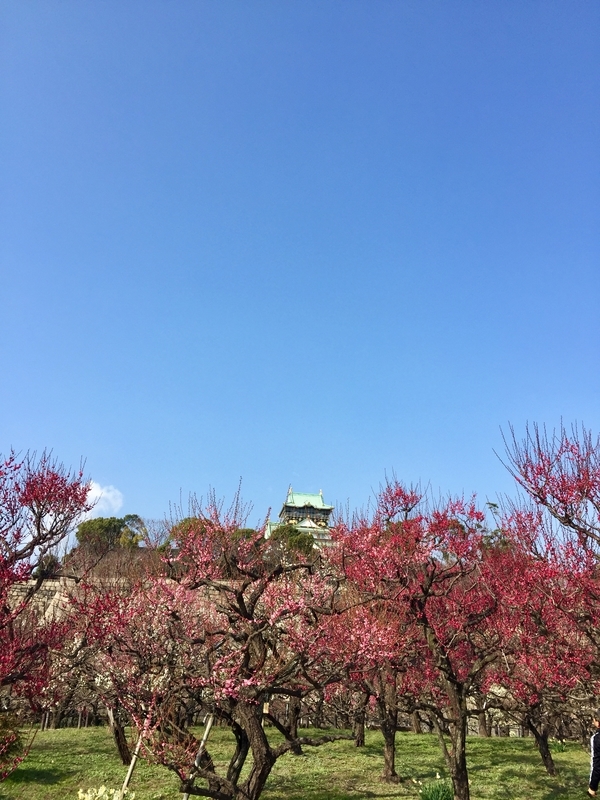 f:id:murana:20200205205825j:image