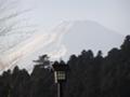 芦ノ湖畔から望む富士