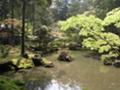 西芳寺（苔寺）：庭園