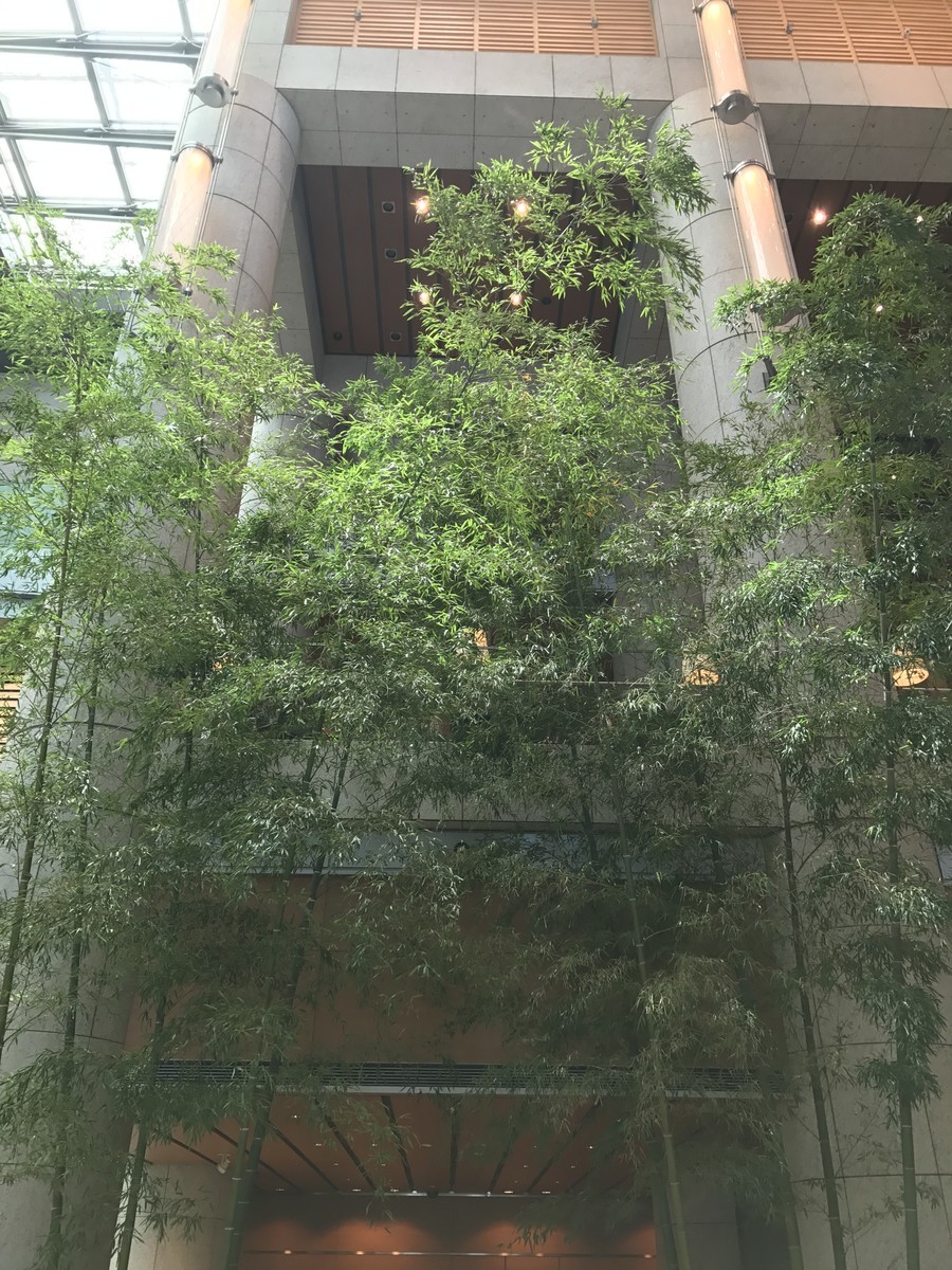 f:id:muranaga:20190811114835j:plain f:id:muranaga:20190811114835j:plain