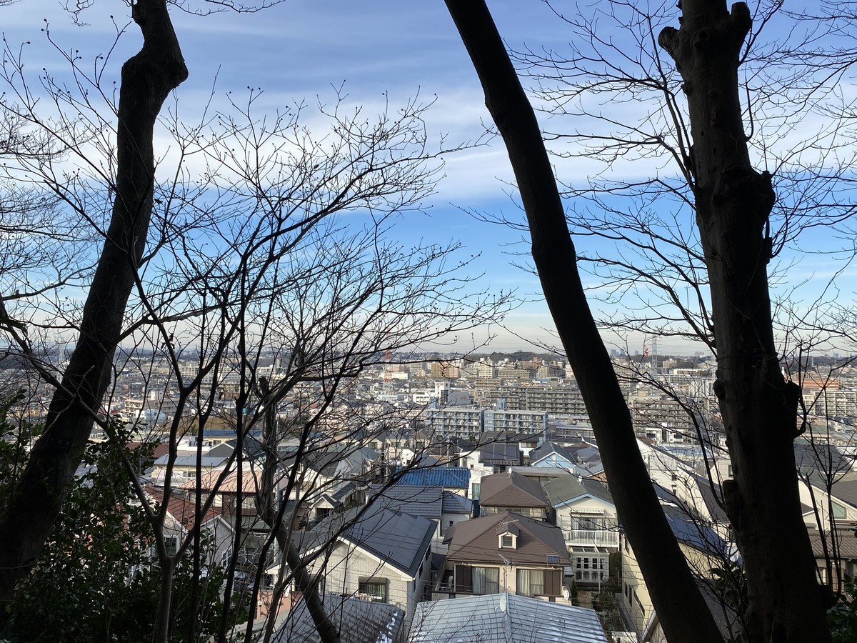 f:id:muranaga:20220109143635j:plain