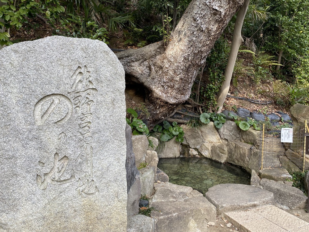 f:id:muranaga:20220109144339j:plain