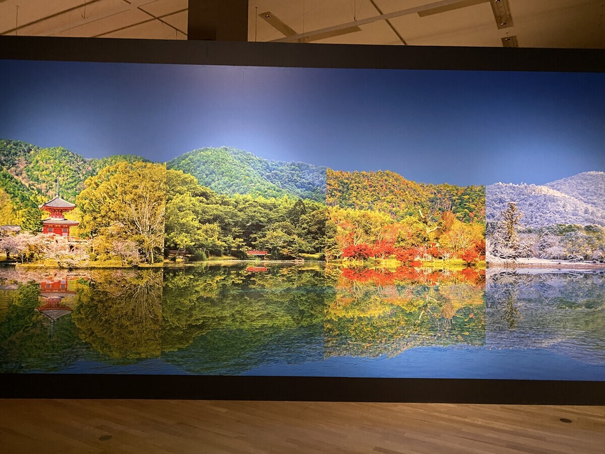 ★由源社★王鐸的逸品 特別展観 第十六回  由源展 ☆由源社☆王鐸的逸品 特別展観 第十六回 由源展（読売書法展