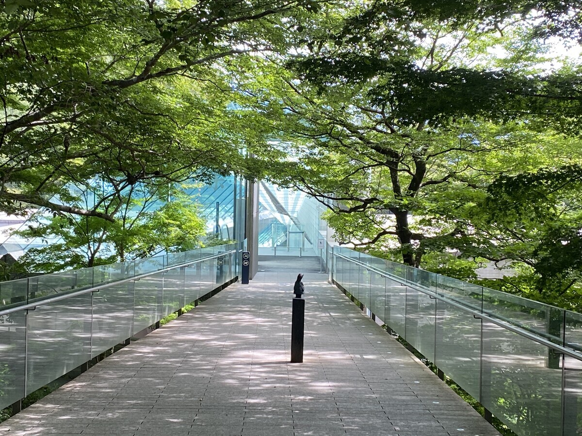箱根：ポーラ美術館「ゴッホ・インパクト―生成する情熱」展
