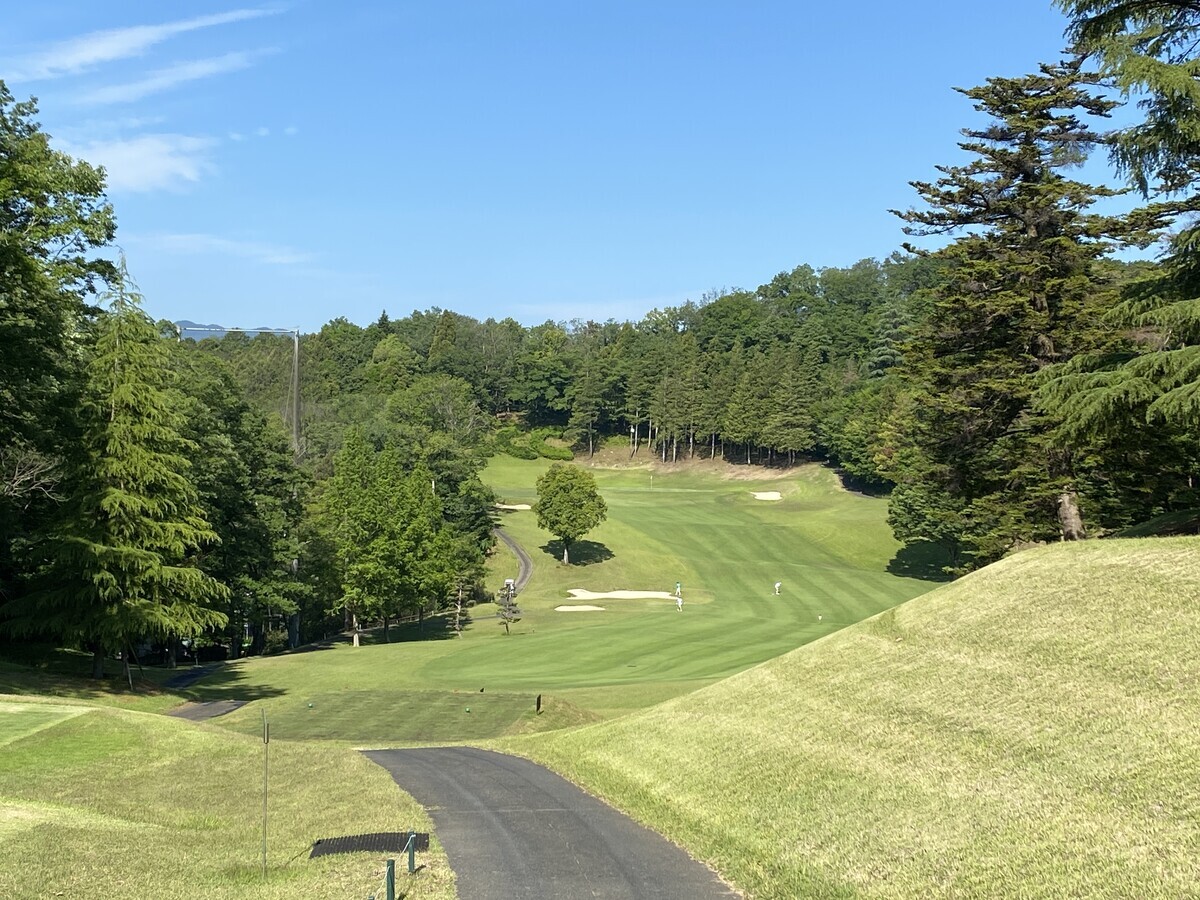M's Golf