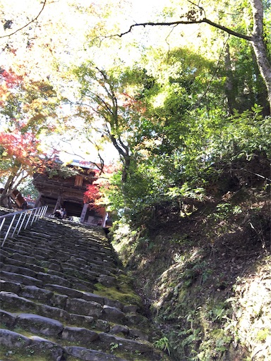 f:id:murasakiimokyabetu:20191111210214j:image f:id:murasakiimokyabetu:20191111210214j:image
