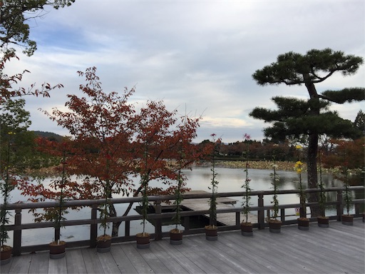 f:id:murasakiimokyabetu:20191111210221j:image f:id:murasakiimokyabetu:20191111210221j:image