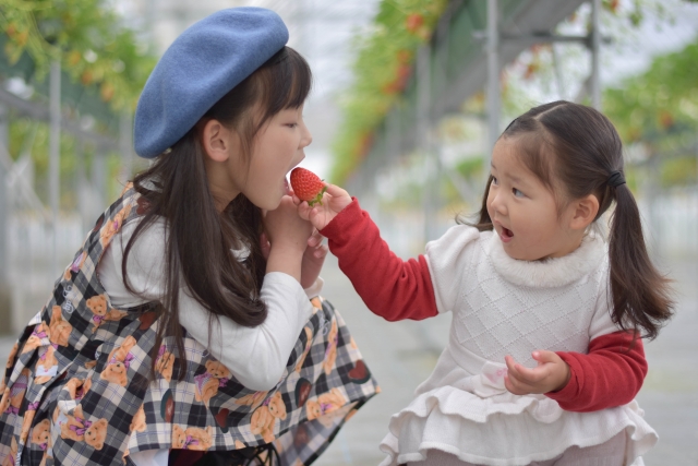 痩せないのもイライラするのも鉄不足が原因 ゆらブログ 痩せないのもイライラするのも鉄不足が原因 ゆらブログ