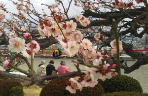 Photo_10 Photo_10