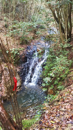 Photo_2 Photo_2