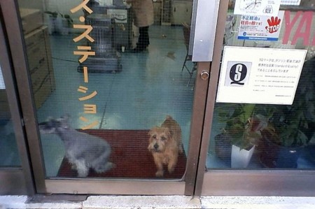 見られる