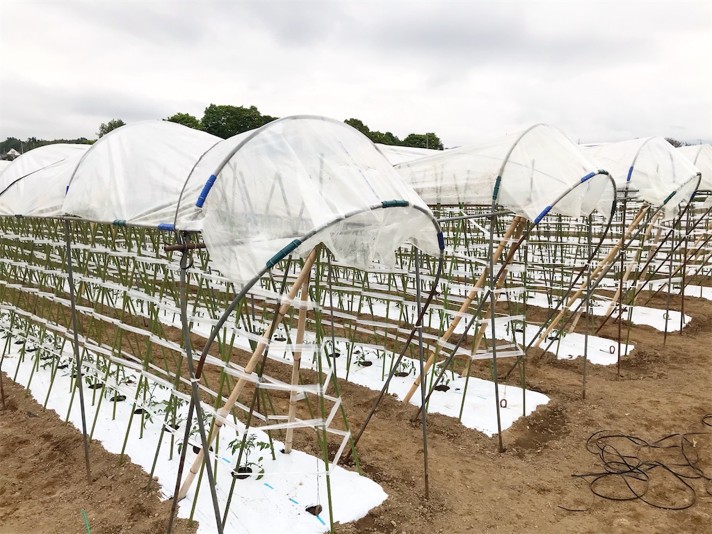 f:id:murattiva:20200520235458j:image