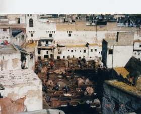 f:id:muratyan:20050827095946j:image f:id:muratyan:20050827095946j:image