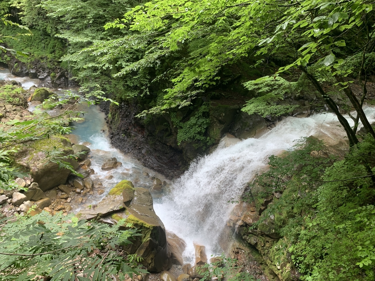 f:id:muratyon:20190724213908j:plain f:id:muratyon:20190724213908j:plain