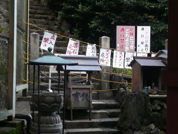 f:id:murawaki:20180916214049j:image
