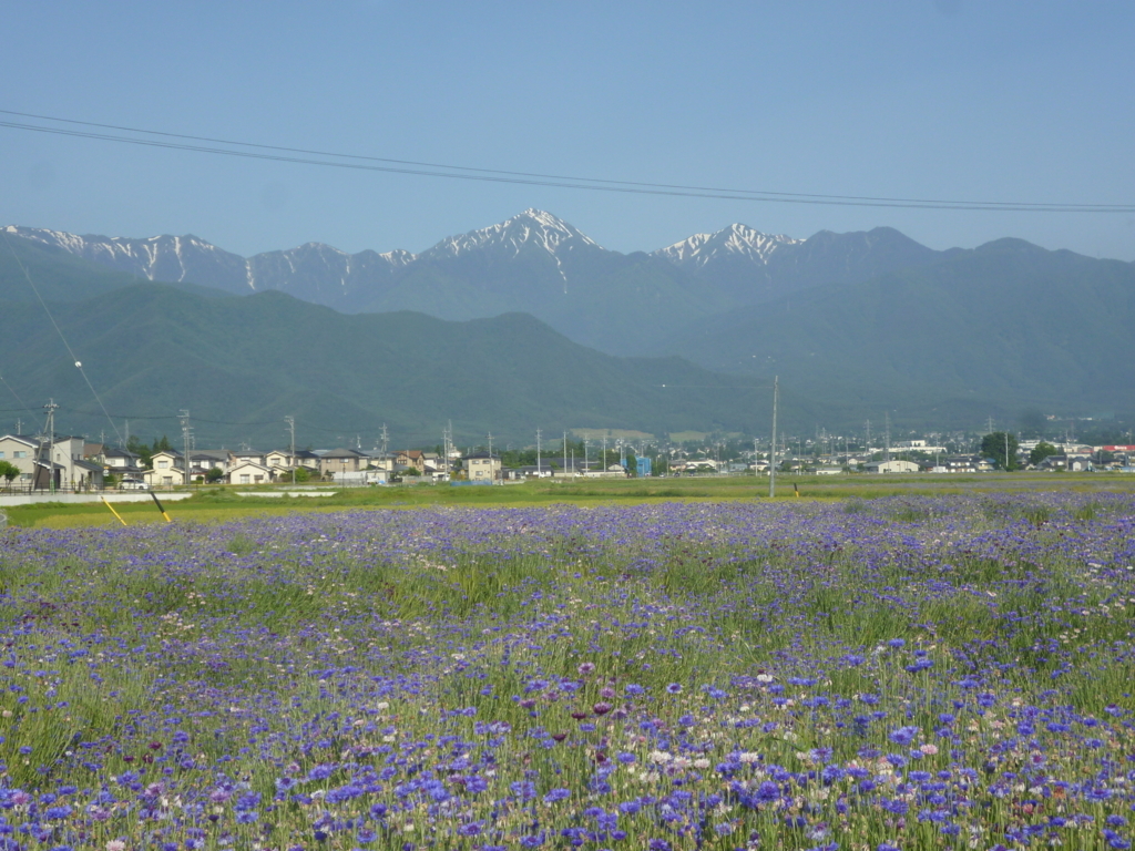f:id:murayama147:20180603053314j:plain f:id:murayama147:20180603053314j:plain