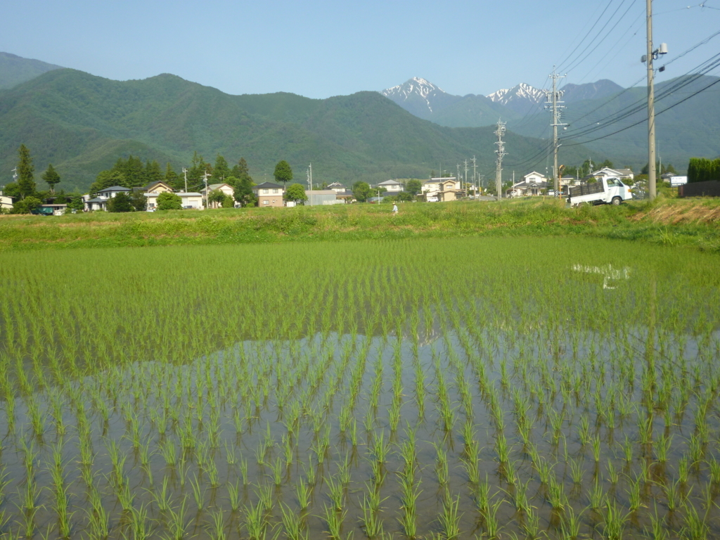 f:id:murayama147:20180603053628j:plain f:id:murayama147:20180603053628j:plain