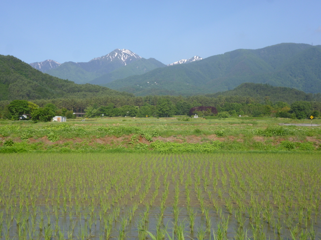 f:id:murayama147:20180603053738j:plain f:id:murayama147:20180603053738j:plain