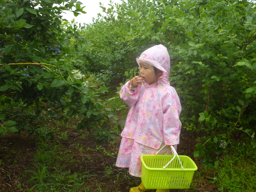 f:id:murayama147:20180623193447j:plain