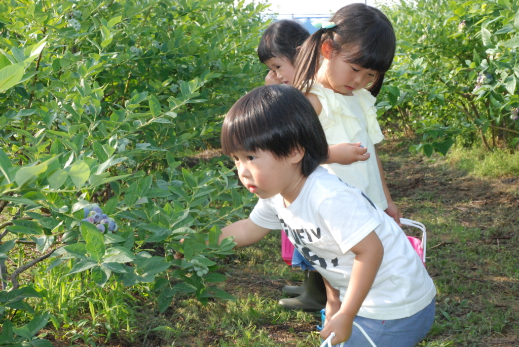 f:id:murayama147:20180625201209j:plain
