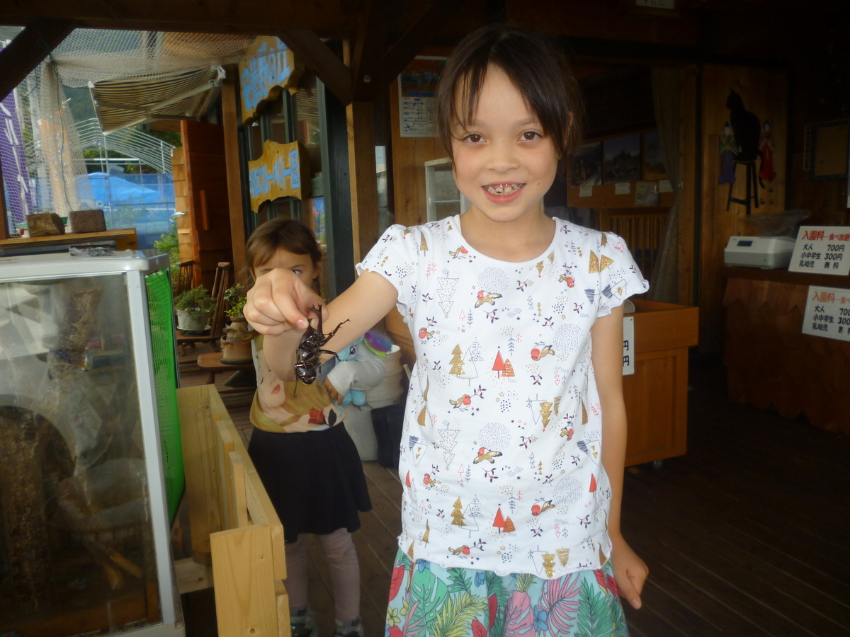 f:id:murayama147:20190710183857j:plain f:id:murayama147:20190710183857j:plain