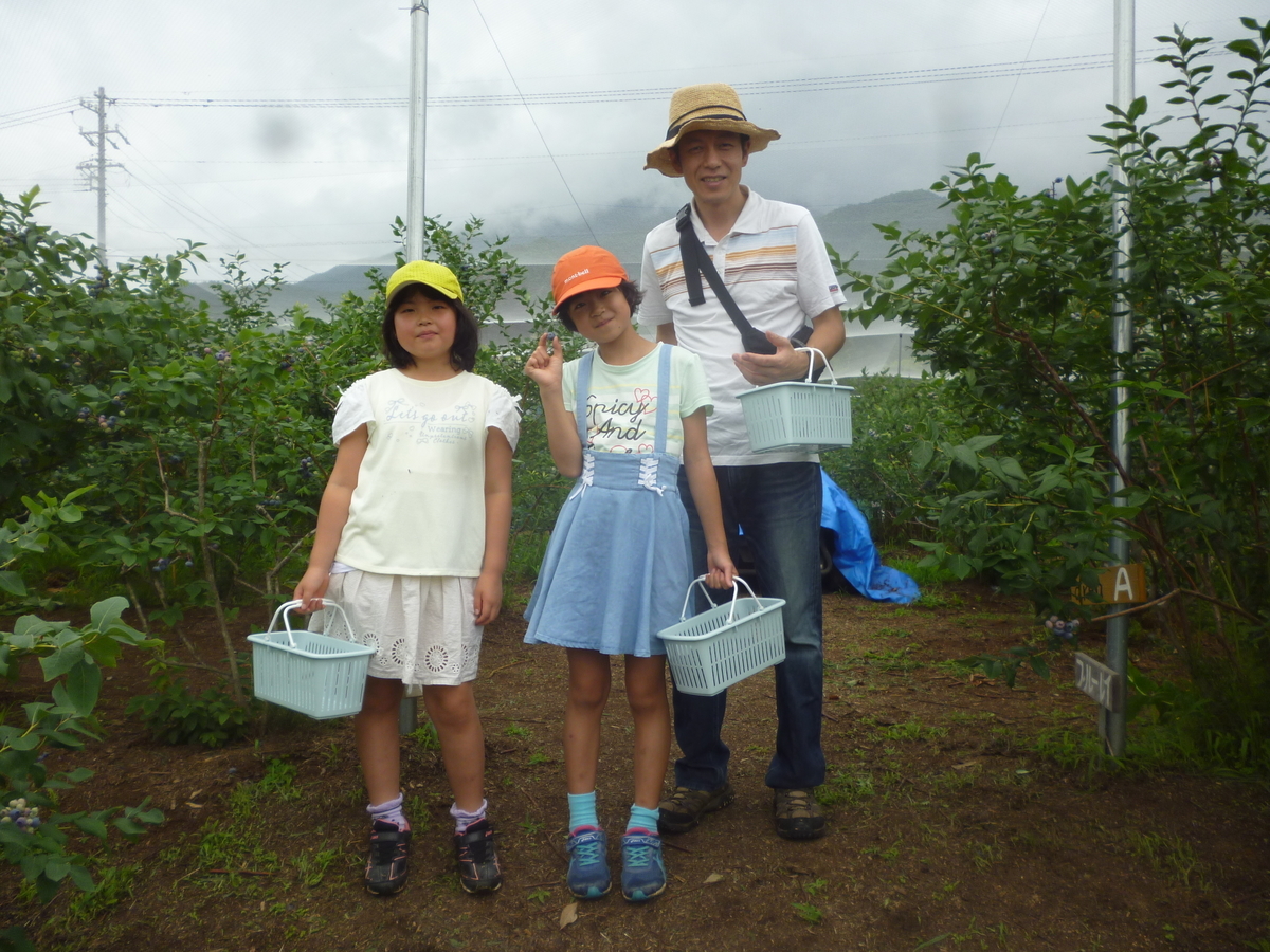 f:id:murayama147:20190713203941j:plain