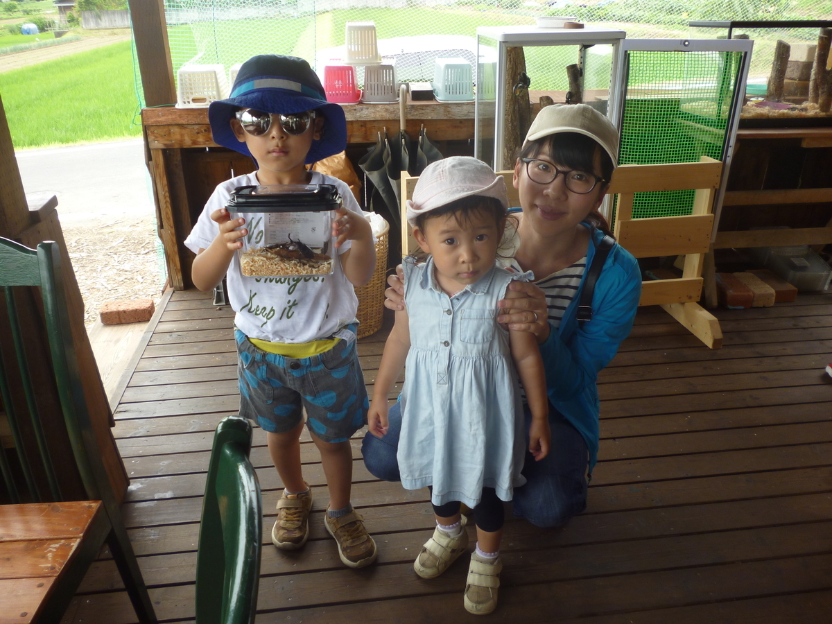 f:id:murayama147:20190713204522j:plain