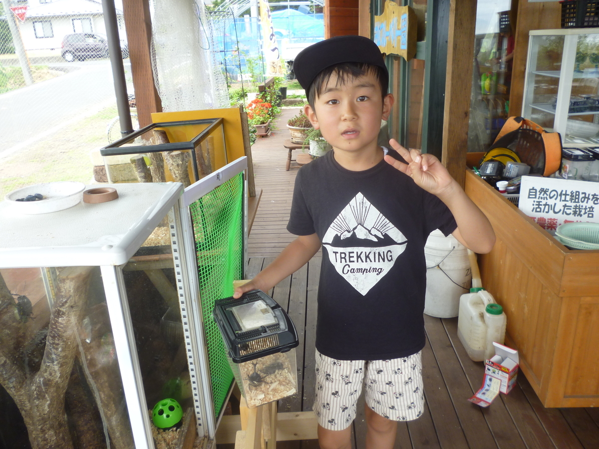 f:id:murayama147:20190713205032j:plain